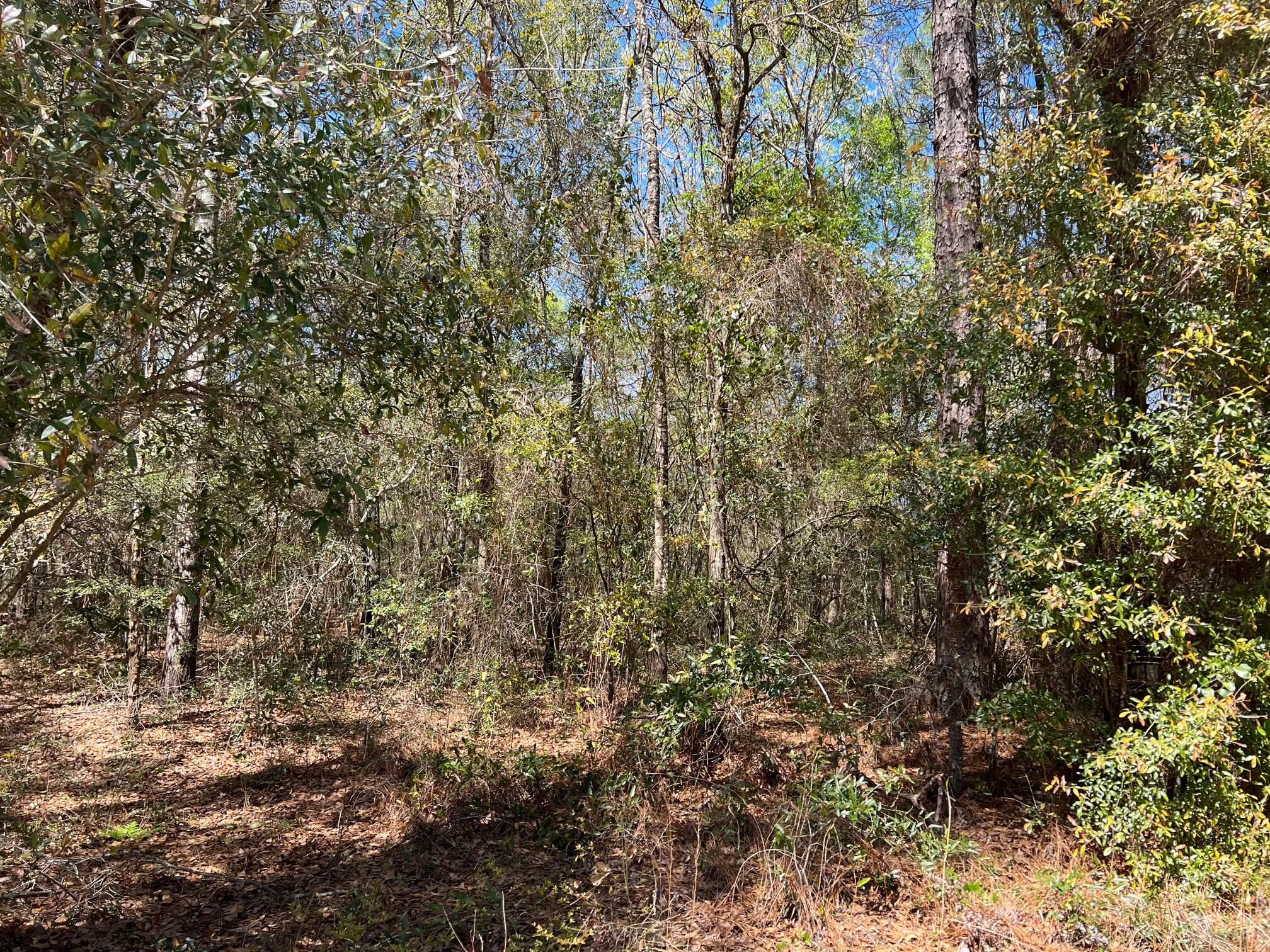Juniper Lake Estates Unit 6 Oakwood Hills S/D - Land