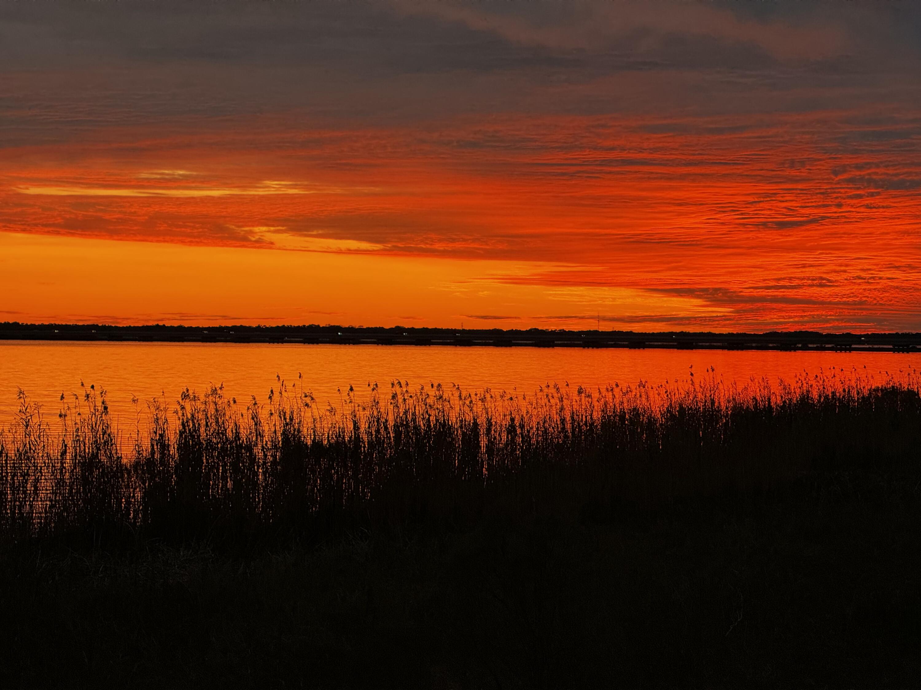 South-facing 80-foot waterfront lot with mature trees and almost 3/4 acre on a paved road on deep water in a popular small non-HOA neighborhood. This one-of-a-kind property offers some of the most desirable views, including breathtaking sunrises and sunsets in Walton County, overlooking the Choctawhatchee Bay. Experience wildlife up close, with eagles fishing and porpoises playing right outside your dream home. The views are truly amazing! There's enough room for a single-family home and a carriage house. Close to South Walton's beaches, restaurants, shopping, and entertainment. City water and sewer are available. A must-see!