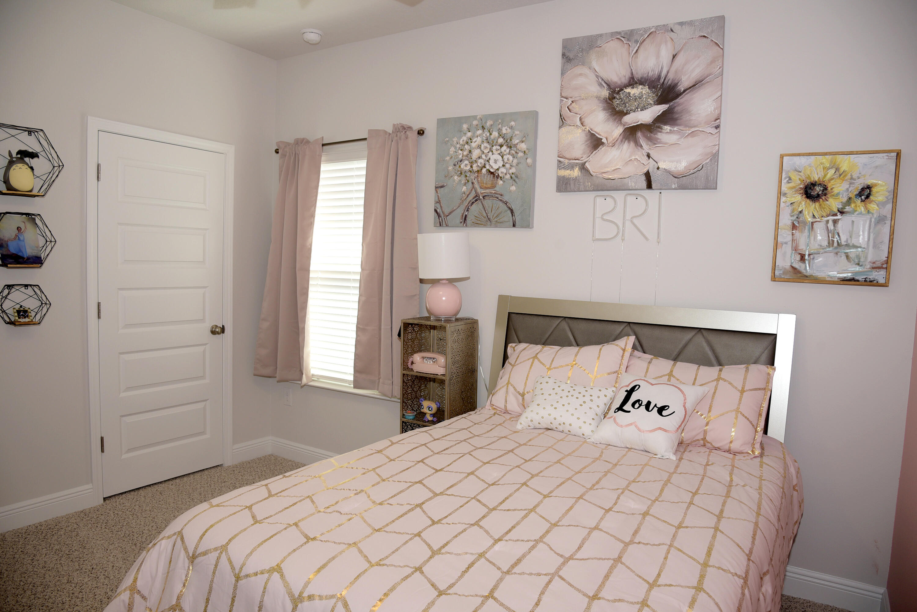 Hammock Bay - Firefly - Residential