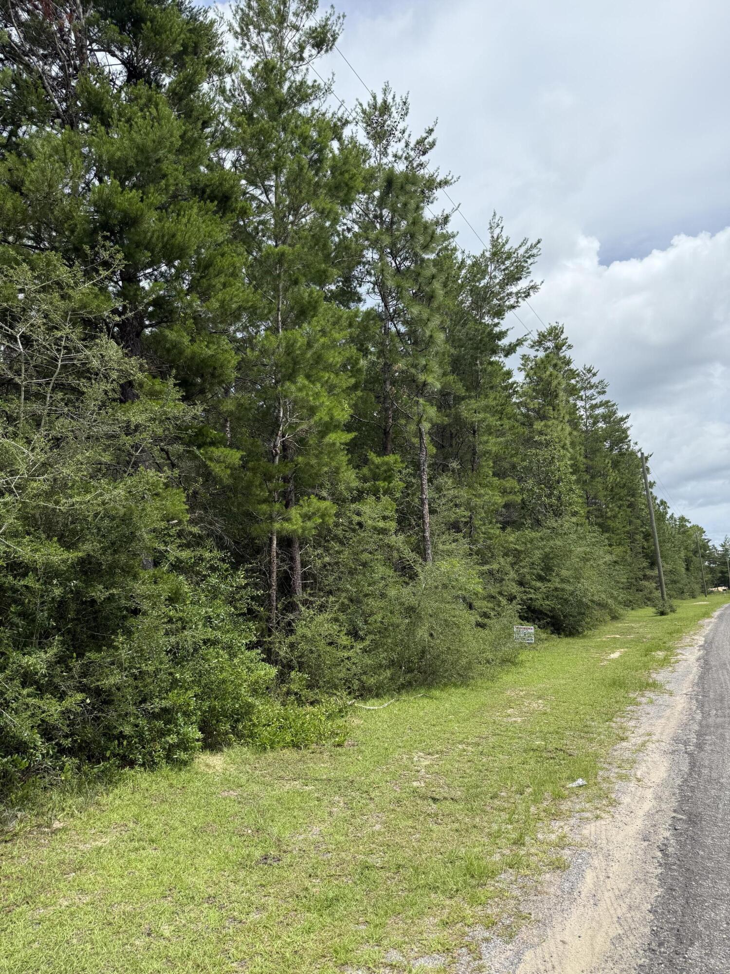 Vacant, wooded lot on Watson Rd perfect for your next home. No HOA and manufactured homes allowed. While electricity if available at the road, property will require septic and well.