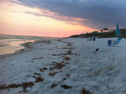 GROVE BY THE SEA - Residential