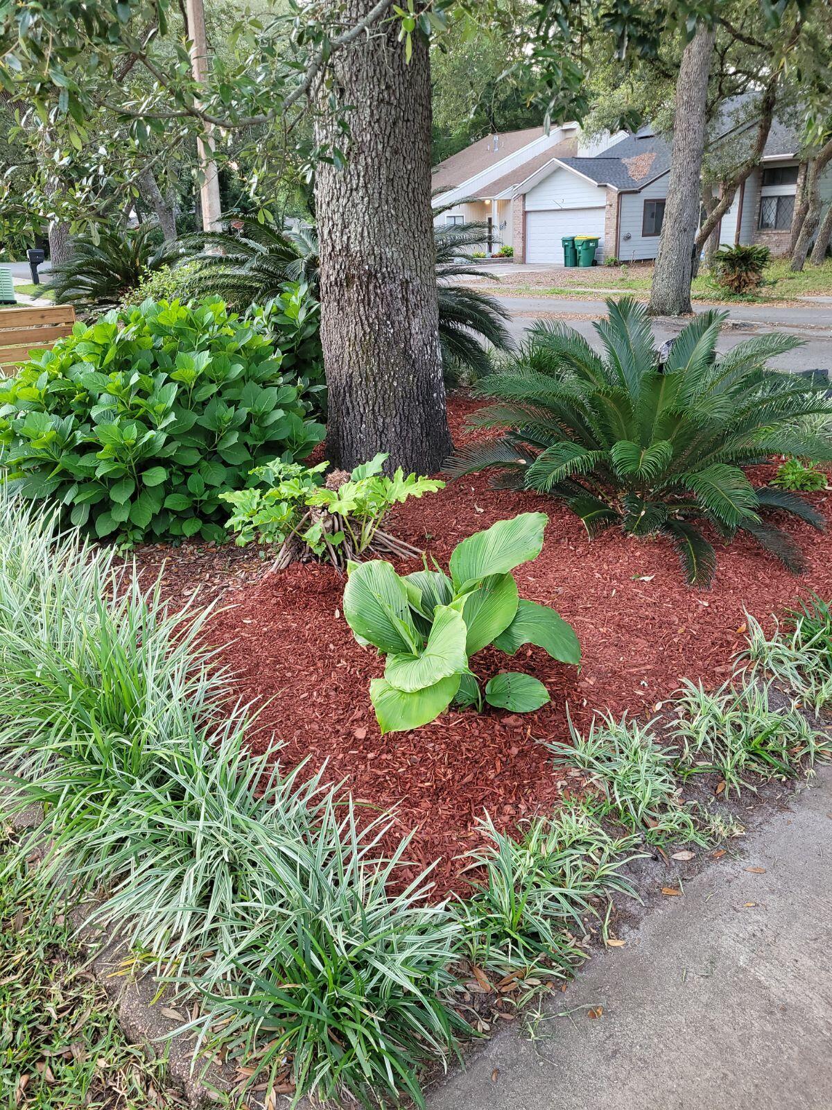 CEDAR RIDGE - Residential