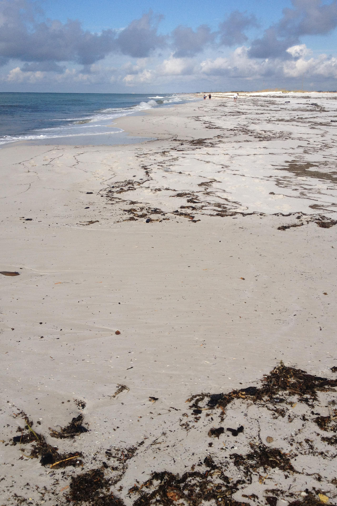 EL MATADOR CONDO - Residential