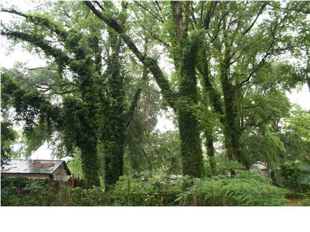 CRESTVIEW - Residential