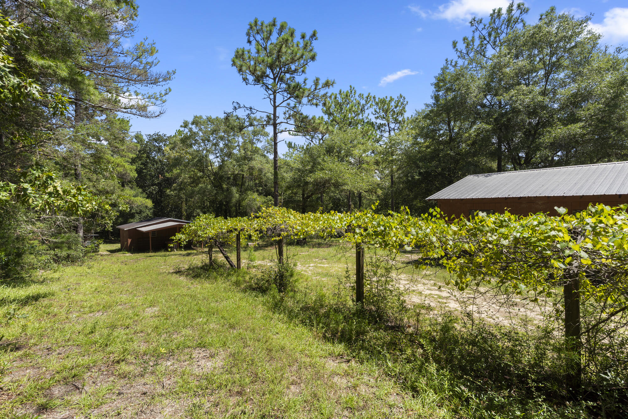Brown Living Trust - Farm
