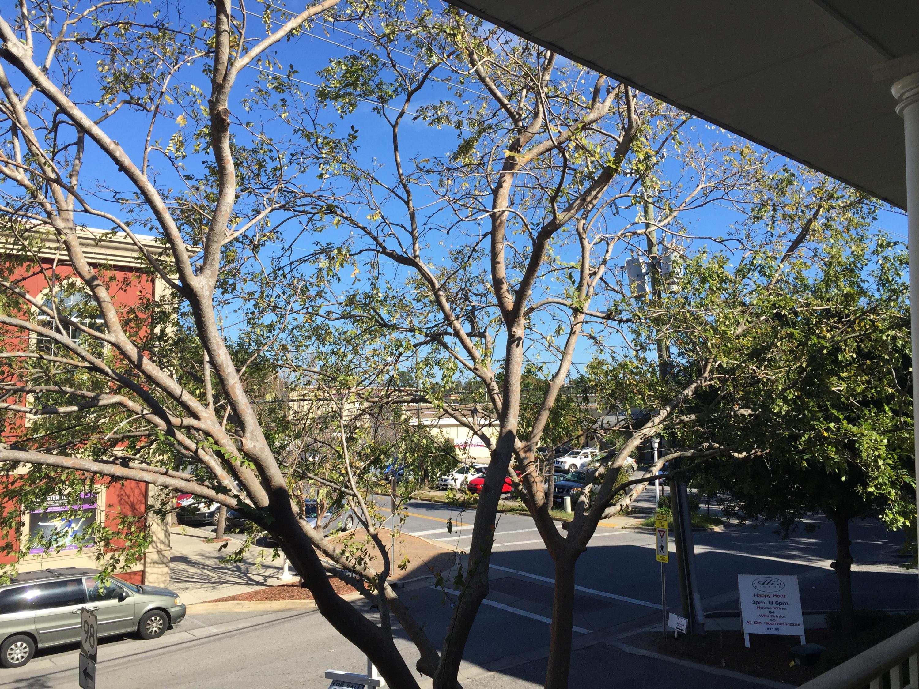 MIRAMAR PLACE - Residential