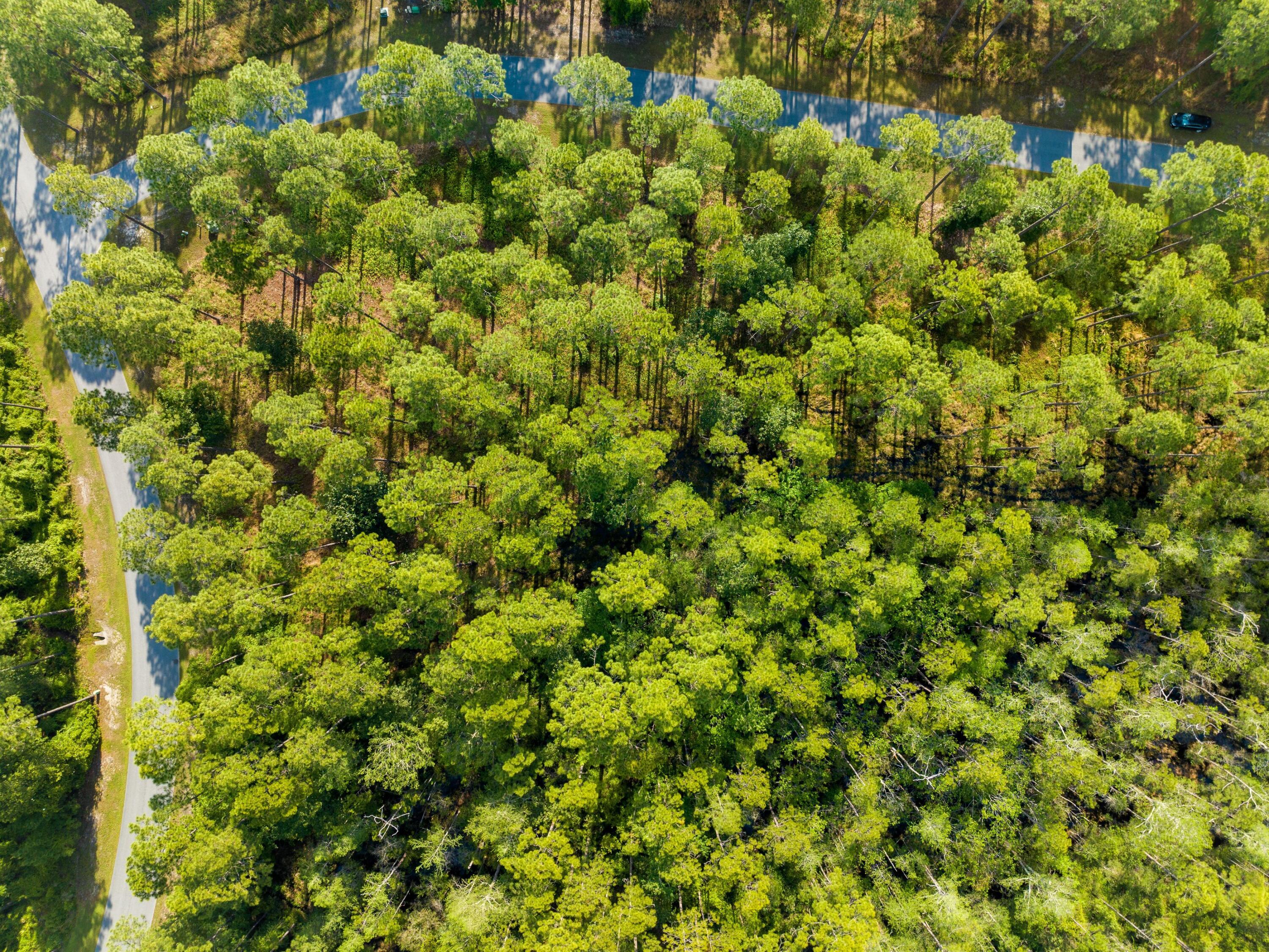 RIVERCAMPS ON CROOKED CREEK PH 2 - Land