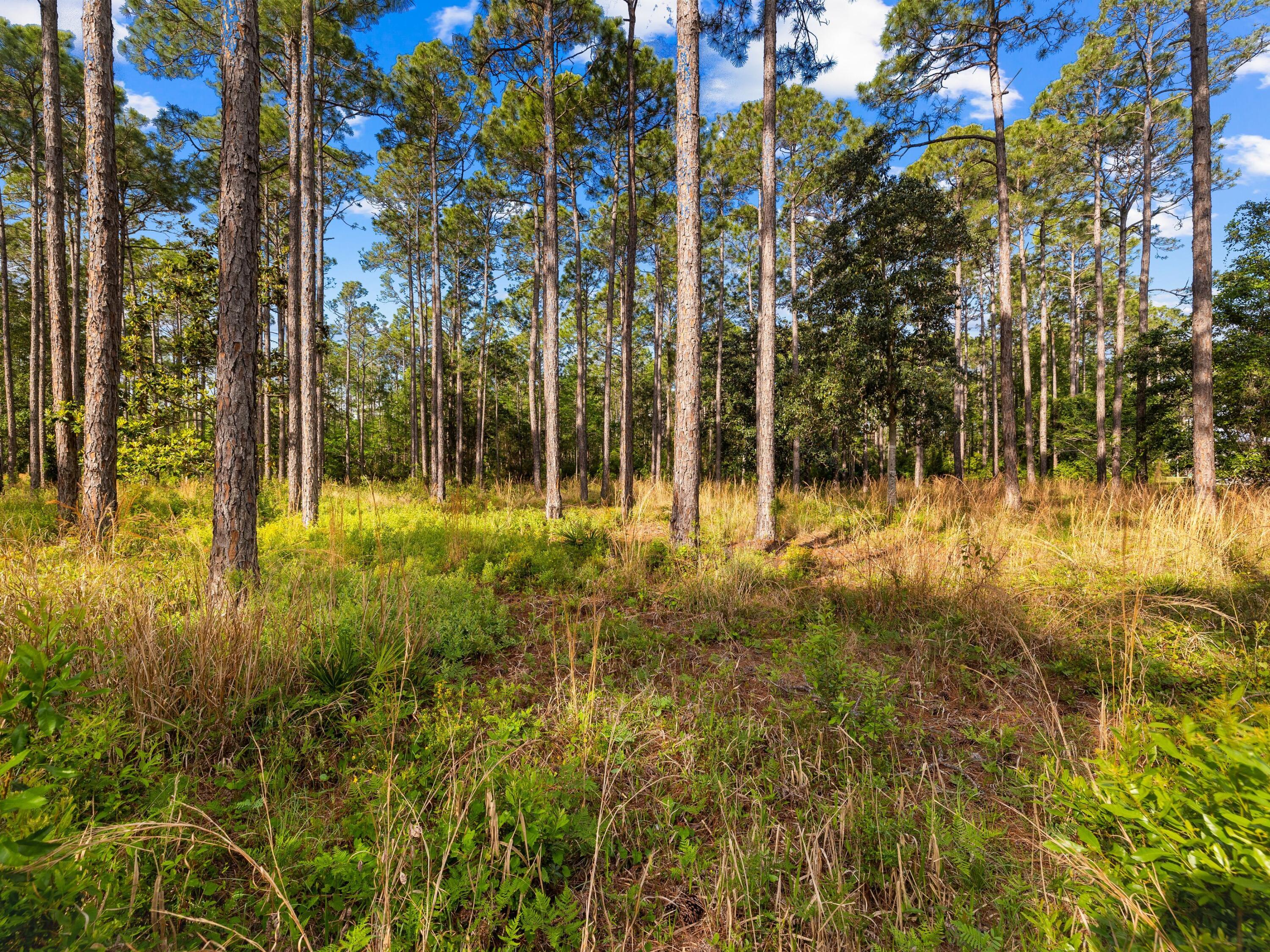 RIVERCAMPS ON CROOKED CREEK PH 2 - Land