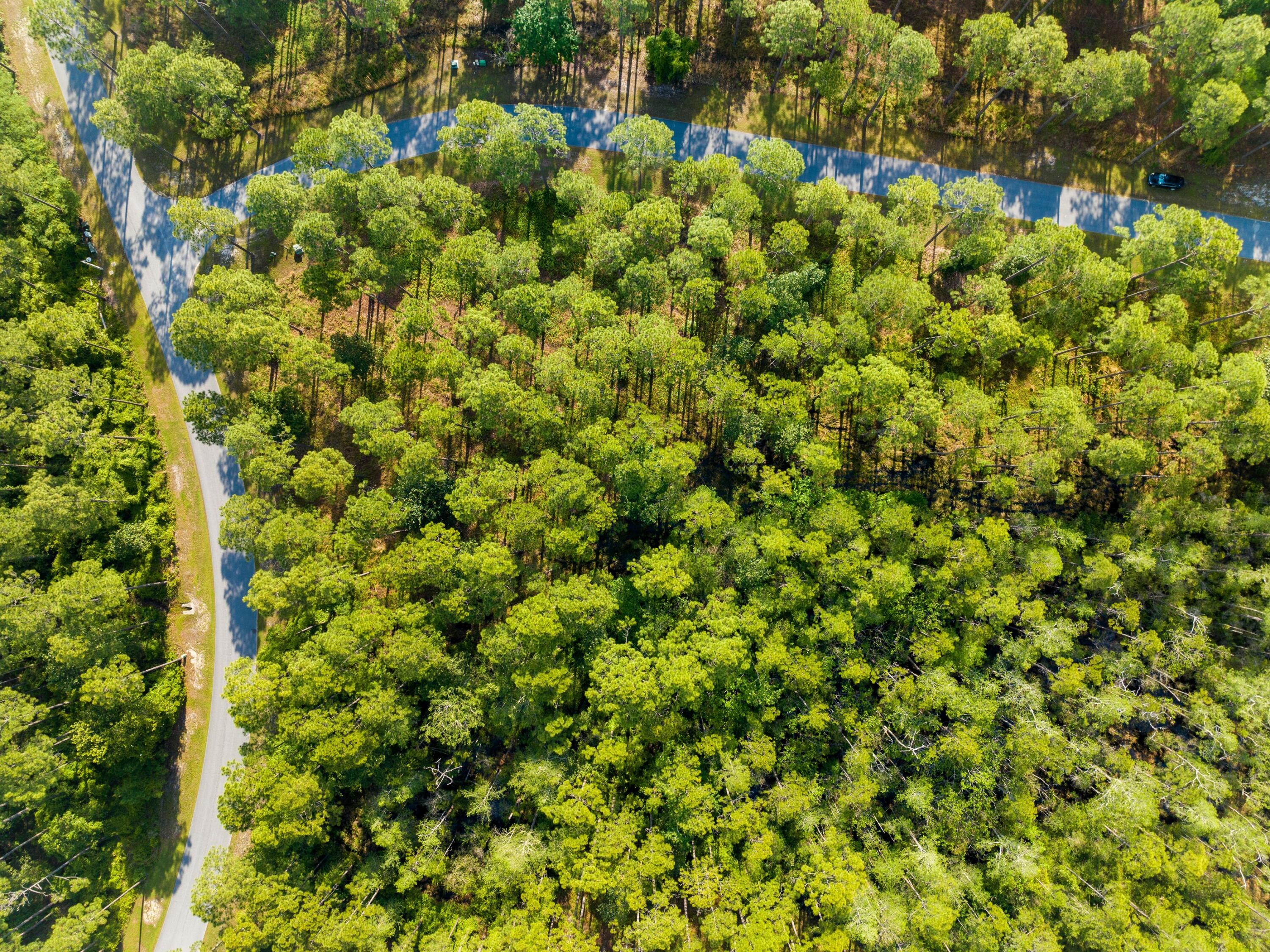 RIVERCAMPS ON CROOKED CREEK PH 2 - Land