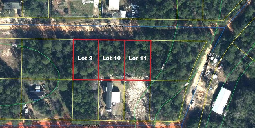 3 lightly wooded 80' x 125' lots just off paved road in growing Mossy Head community of Defuniak Springs. Property is located minutes from Blackstone Golf Course and I-10. Defuniak Springs and Crestview within 20 minutes and apx. 40 minutes to Niceville and Eglin AFB. No utilities currently on the property but power on street. Verify public water availability through Mossy Head Water Works. Septic would be required.