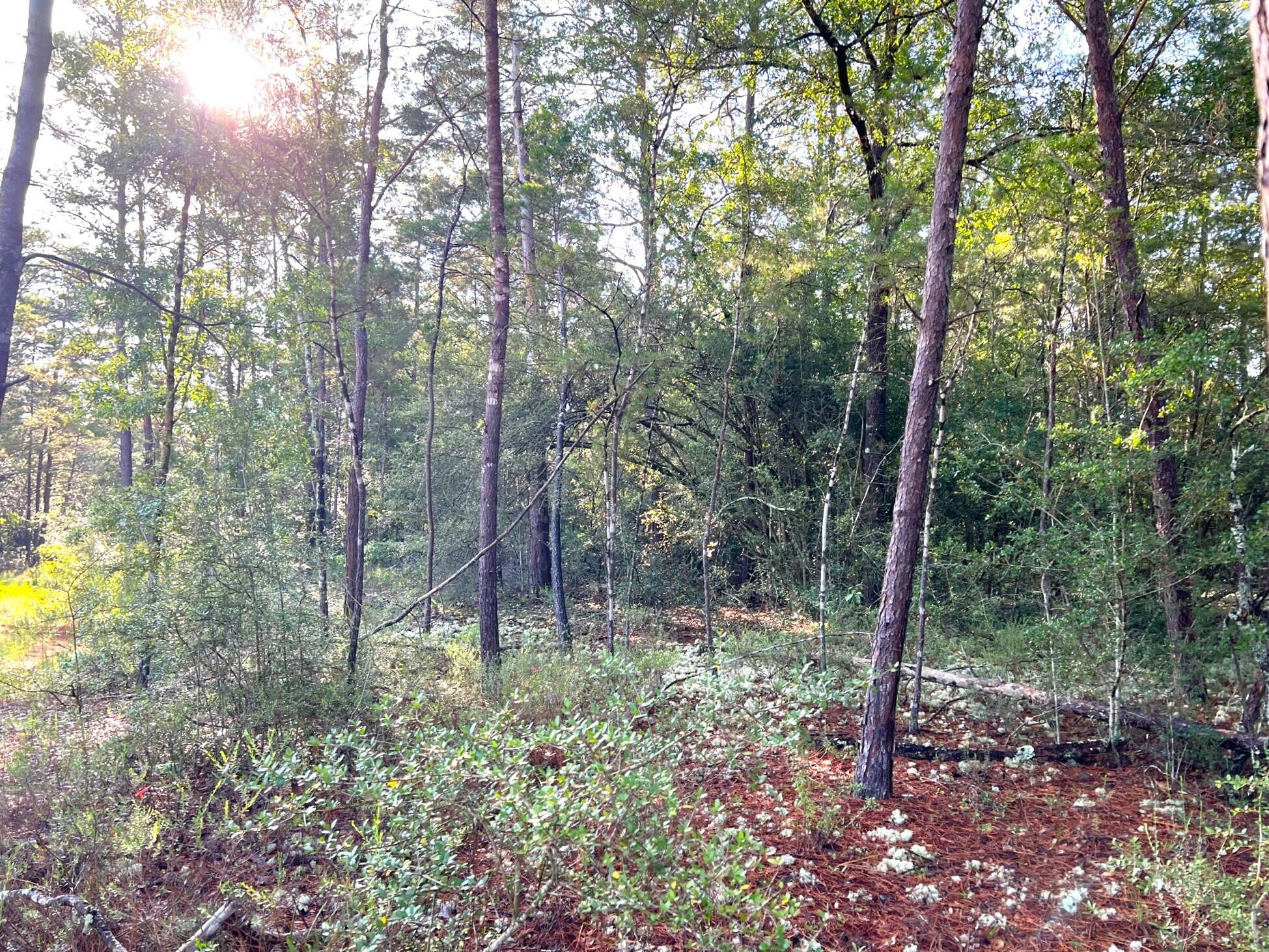 OAKWOOD HILLS UNIT 1 - Land