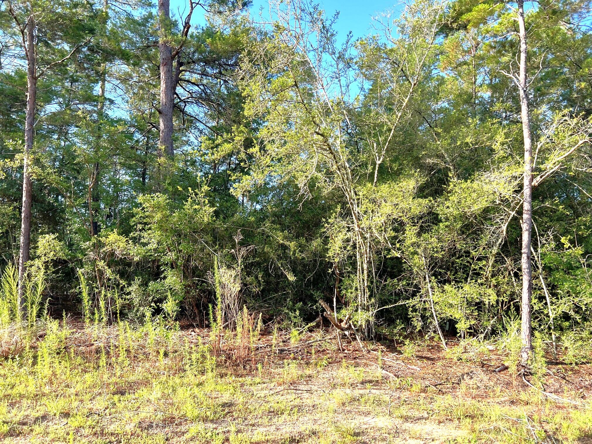 OAKWOOD HILLS UNIT 1 - Land