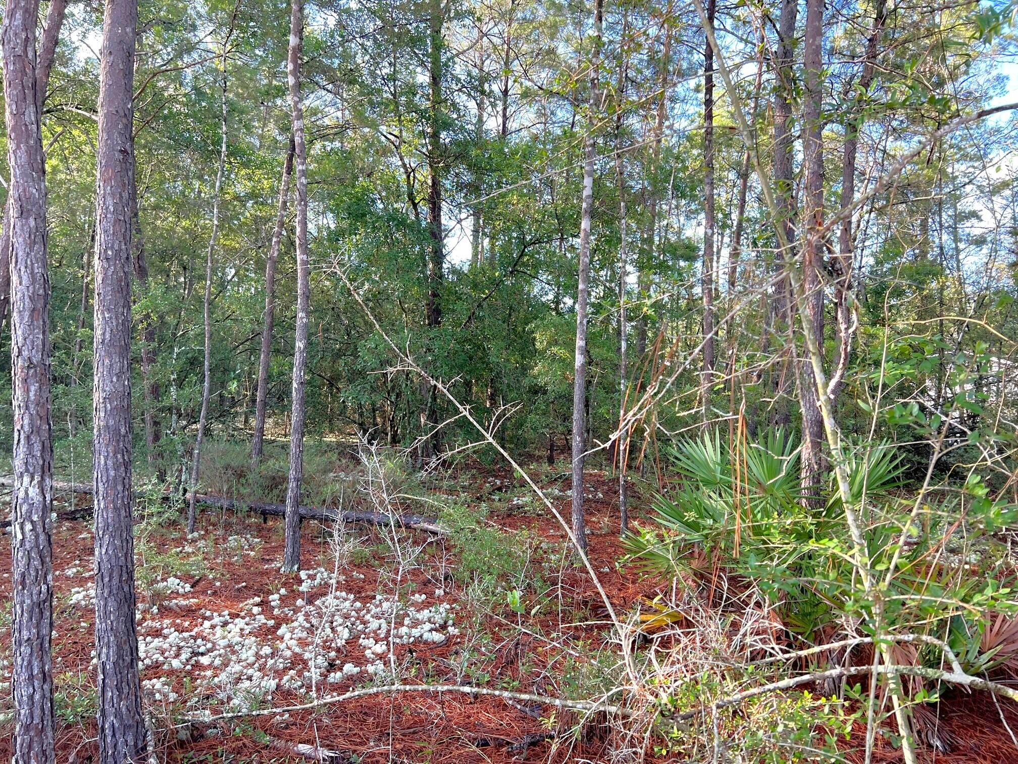 OAKWOOD HILLS UNIT 1 - Land