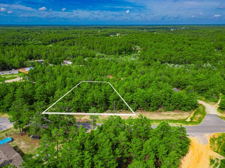 **Discover Your Oasis in DeFuniak Springs**Nestled in the heart of DeFuniak Springs, this exceptional property in the thriving community of Mossy Head, FL, offers a unique blend of natural beauty and modern convenience. Spanning .46 acres, this tranquil haven is enveloped by mature pines and lush green landscapes, providing a peaceful retreat with easy access from a main road.This picturesque setting is perfect for those seeking privacy and serenity, yet it is conveniently located near schools, shopping centers, and golf courses. Embrace the best of both worlds with the tranquility of nature at your doorstep and essential amenities within easy reach. Don't miss the opportunity to create your dream home in this idyllic location!