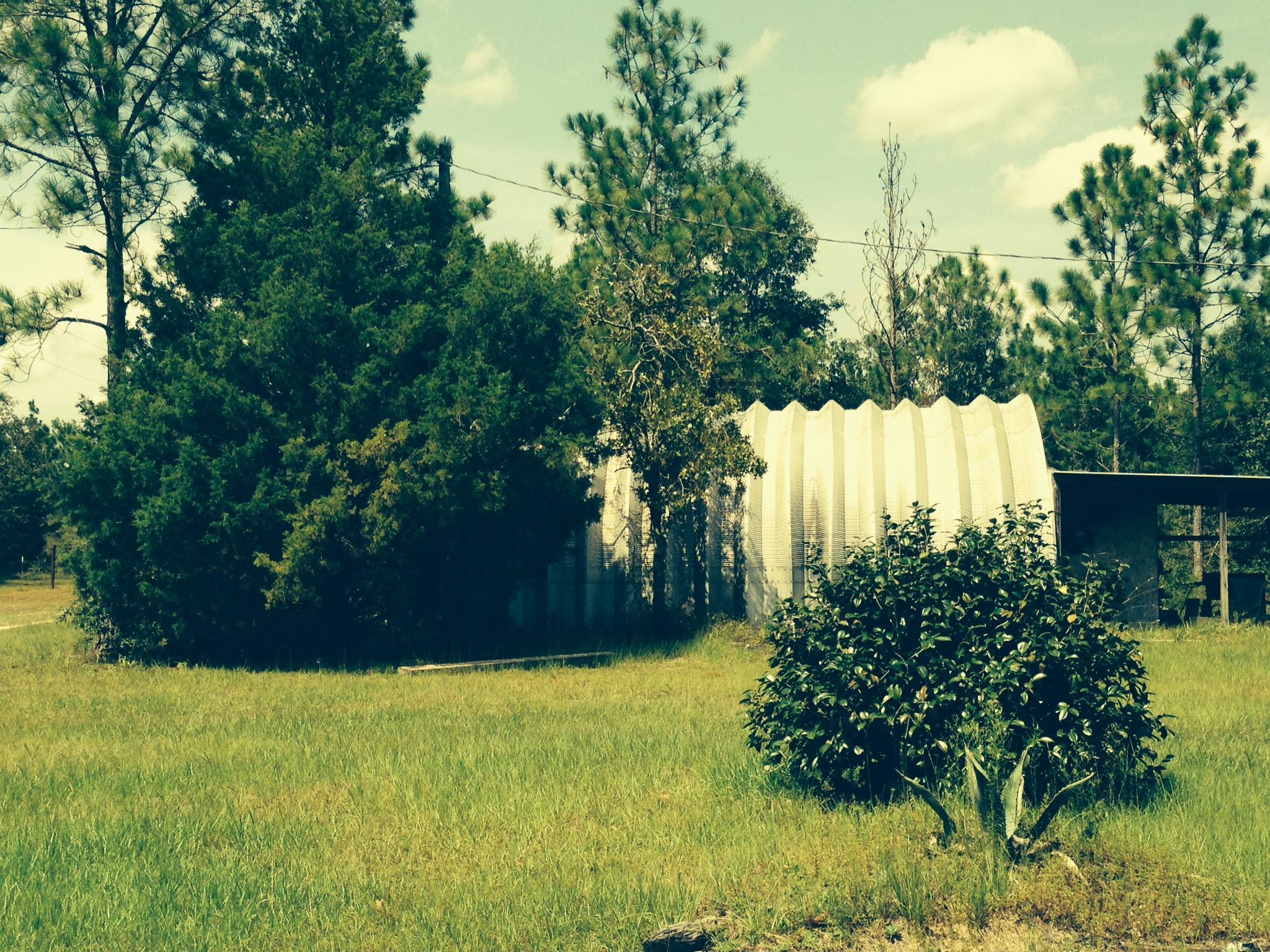 Metes and Bounds - Residential