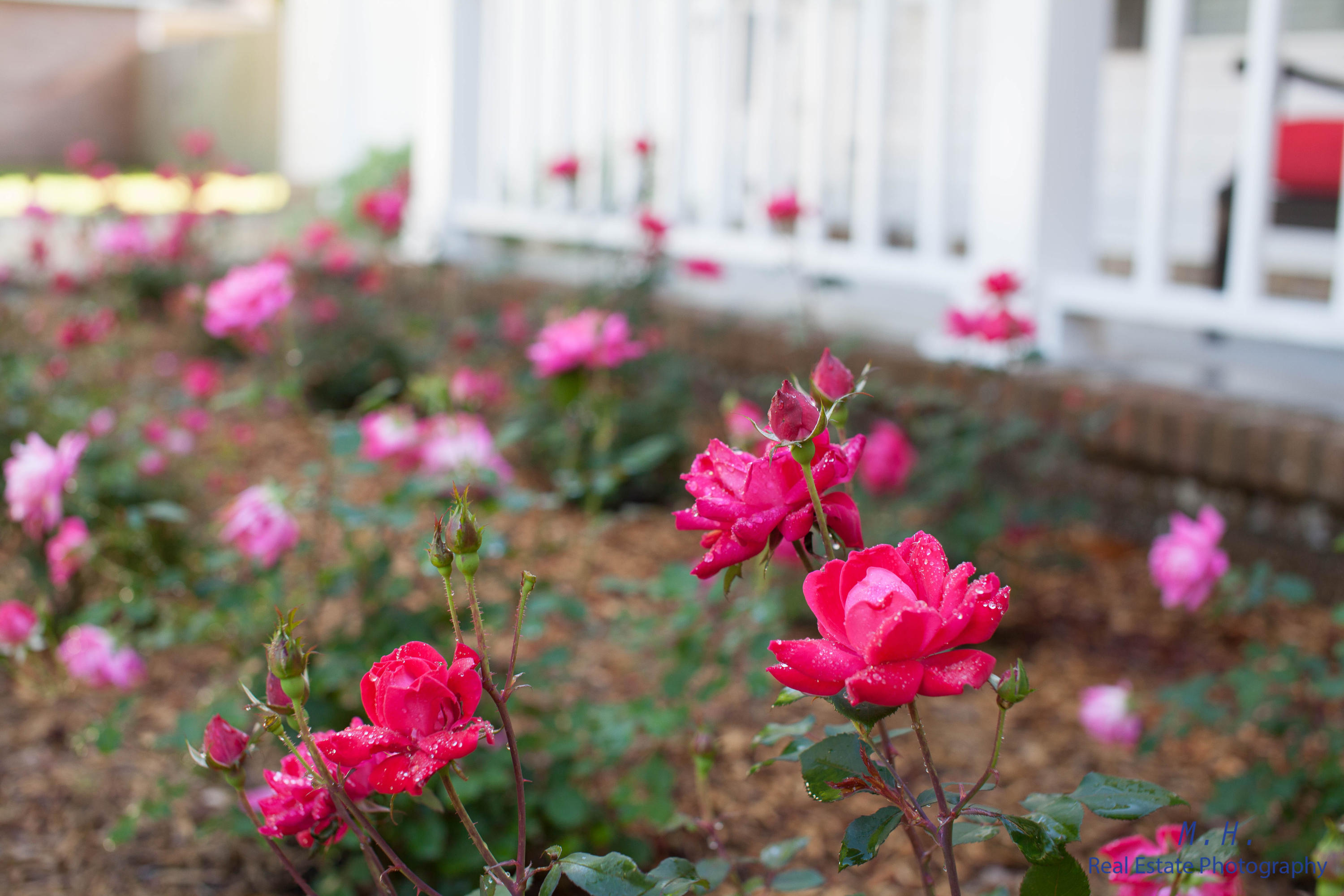 ROCKY BAYOU COUNTRY CLUB ESTATES 08A - Residential