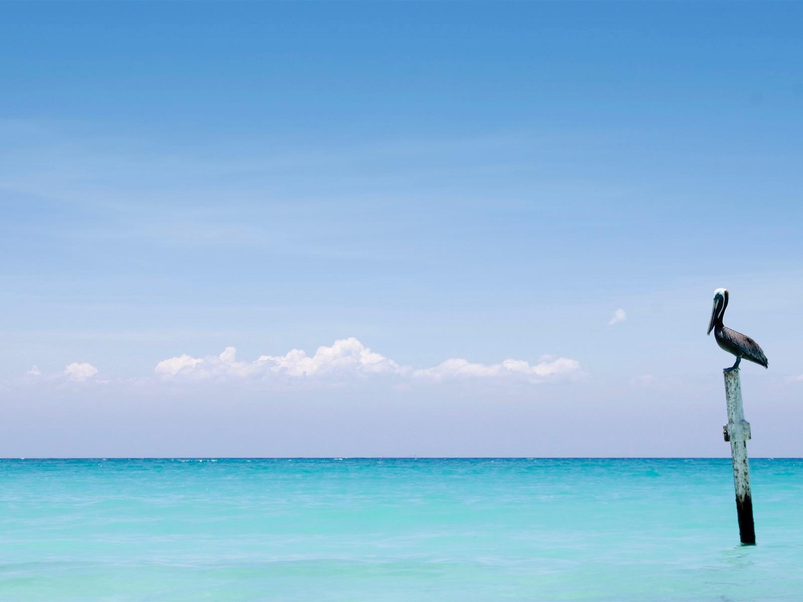 Villages of Crystal Beach - Residential