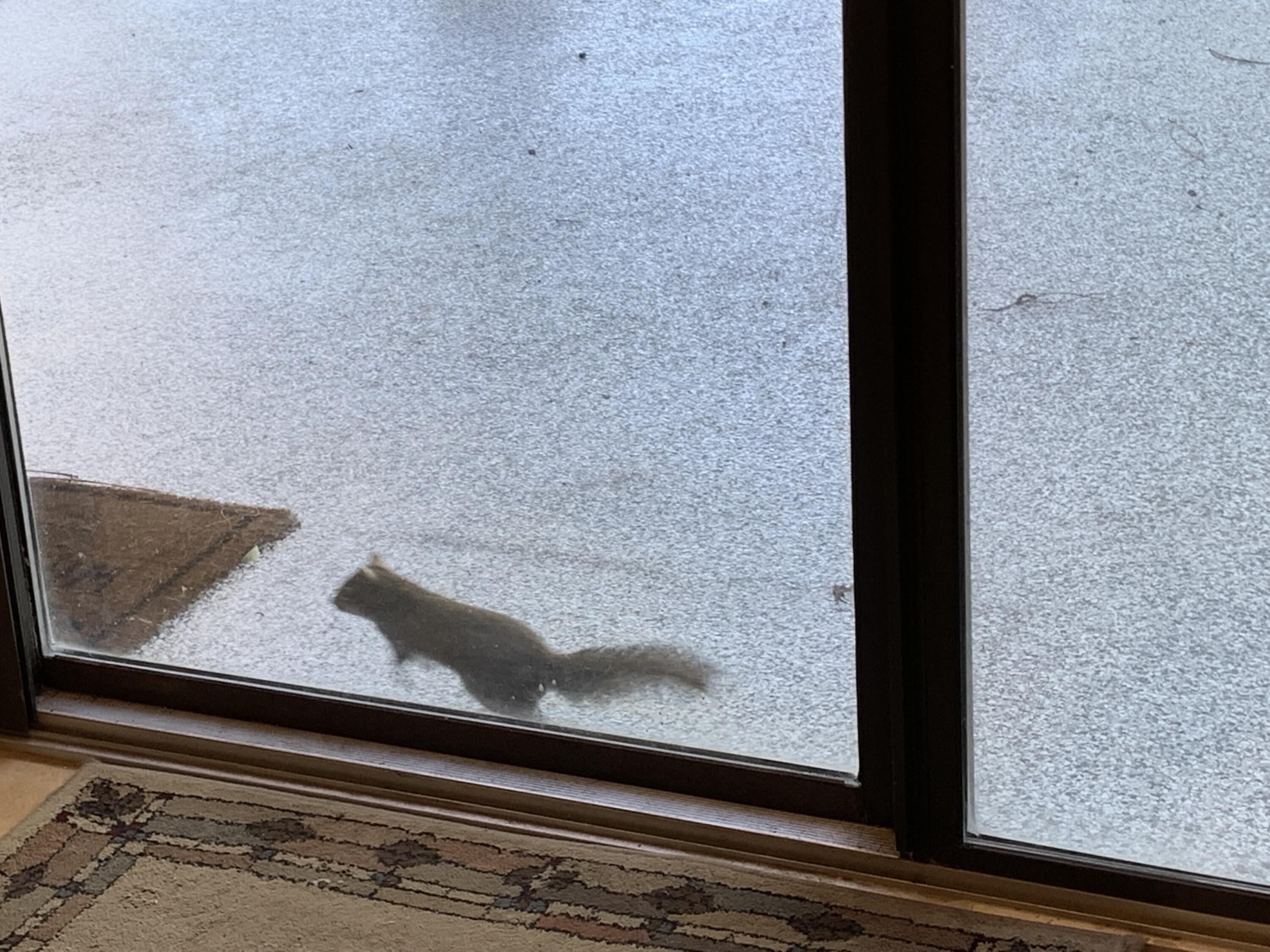 GOLF VIEW - Residential