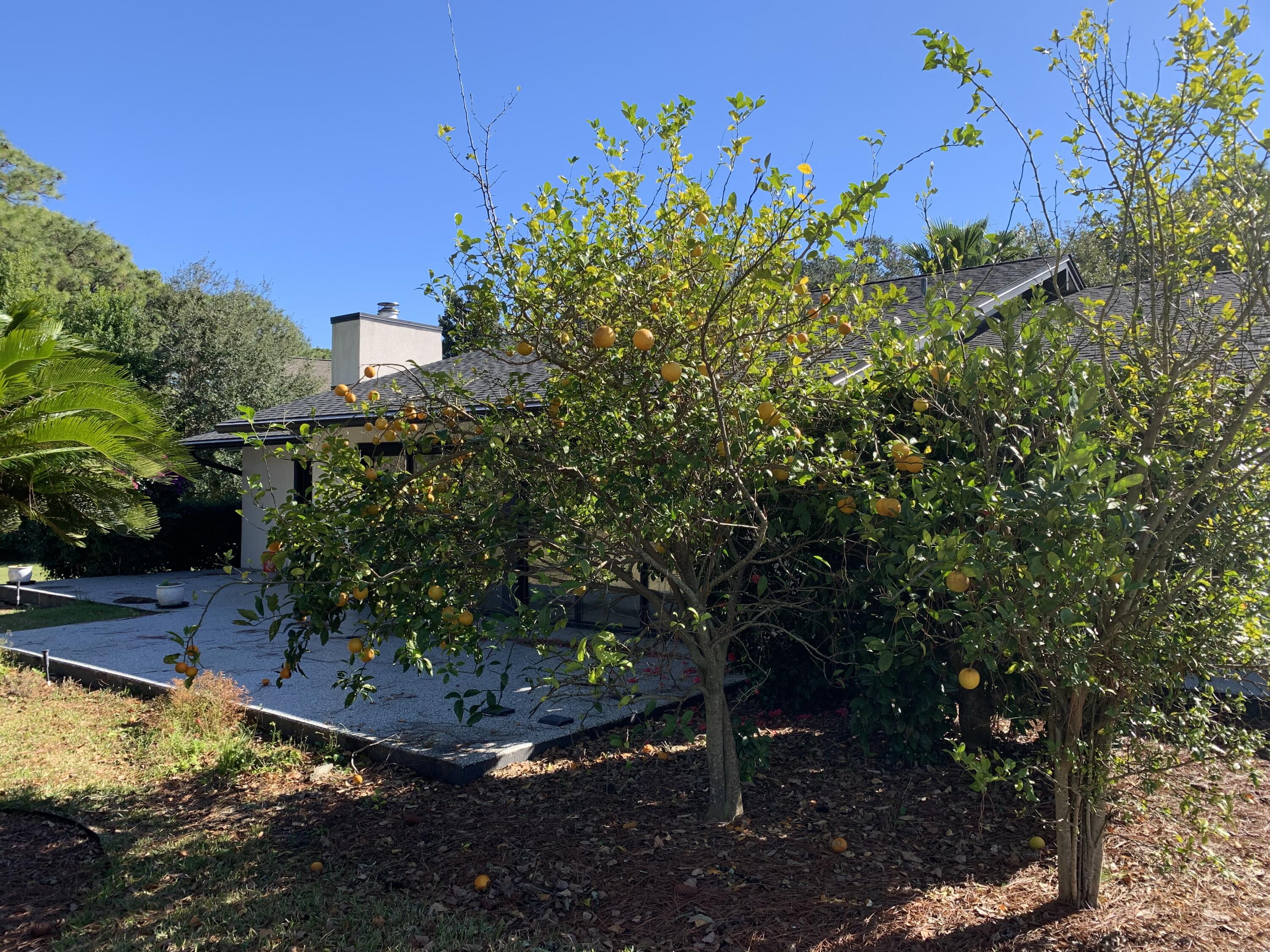 GOLF VIEW - Residential