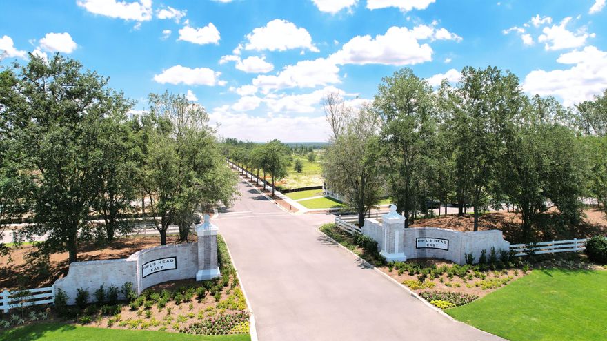 Welcome to this unique traditional neighborhood development community, situated near the heart of historic Freeport, FL!  Owl's Head features residential single-family homes and boasts a beautiful pristine lake, an interior central park, private alleys to rear entry garages and elevations of over 100 feet above sea level.  Close proximity to hiking trails, shopping, dining, Publix, Freeport High School, and more!  Build your new home here and take part in this new and vibrant community!