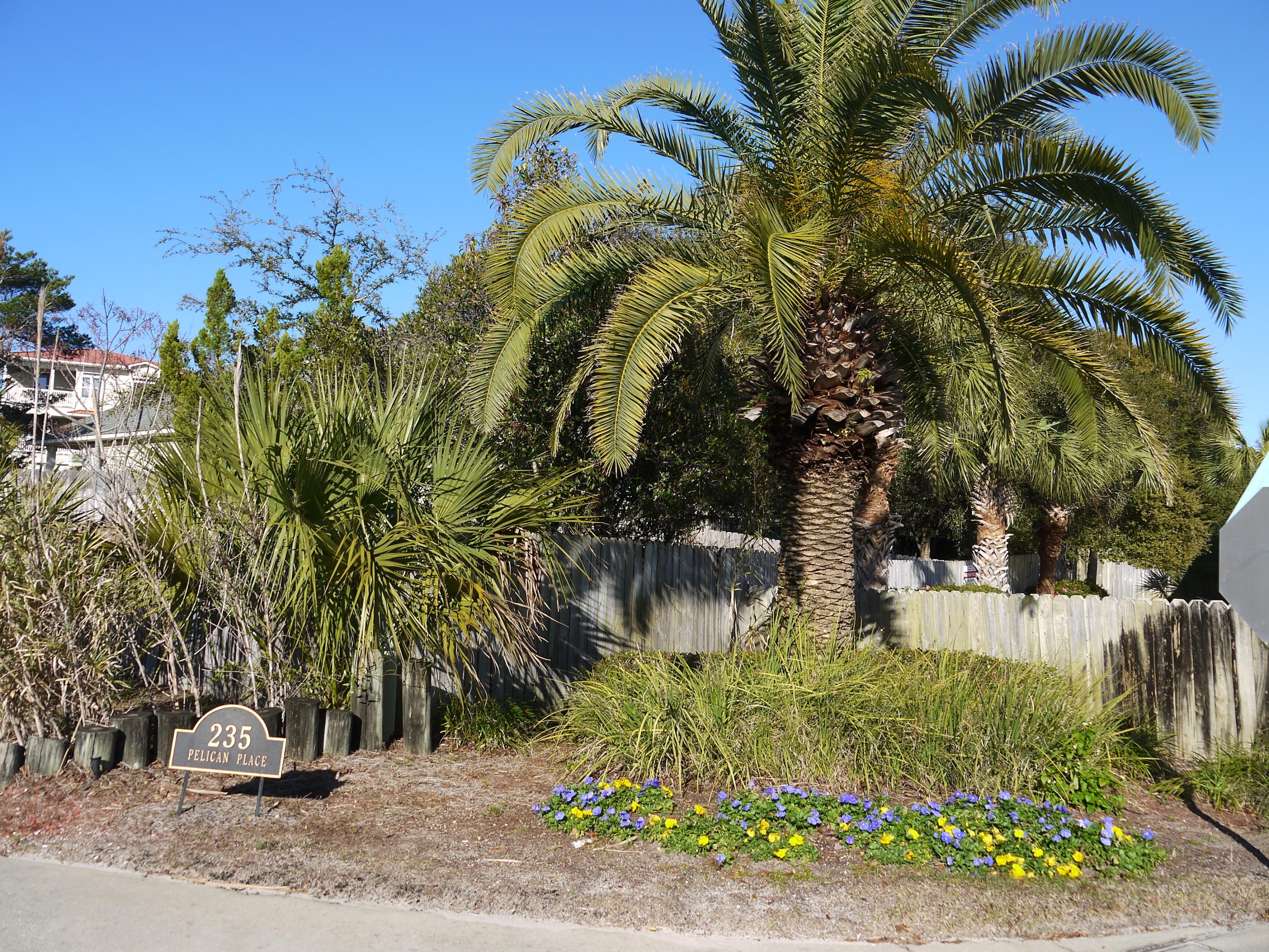 PELICAN PLACE T/H EAST - Residential