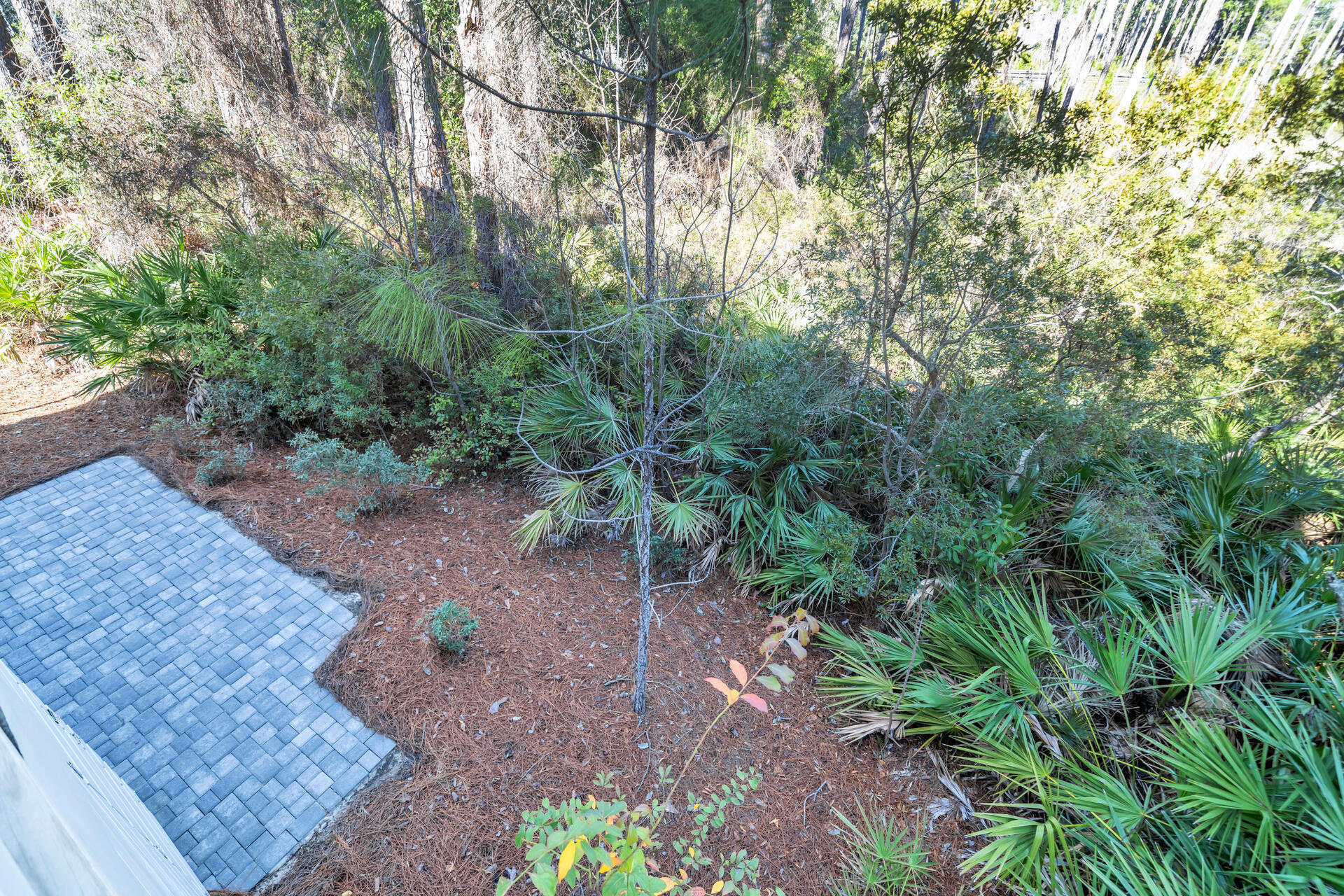 LAKESIDE AT BLUE MOUNTAIN BEACH - Residential