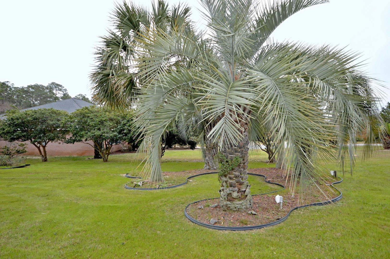 QUAYSIDE VILLAGE PH 2 - Residential