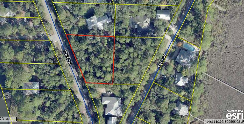 Looking for a high and dry secluded homesite, look no further! This half acre lot is rich with sand pines and live oak trees, further representing the dry nature of its soil. This 1/2 acre lot is one of two available for purchase from the same seller. Be sure to look at the adjacent lot connected. The purchase of both would make a combined total of 1 whole acre. Be sure to drive by and take a look, you won't believe the possibilities for such a piece of property in one of Point Washington's most desirable areas!