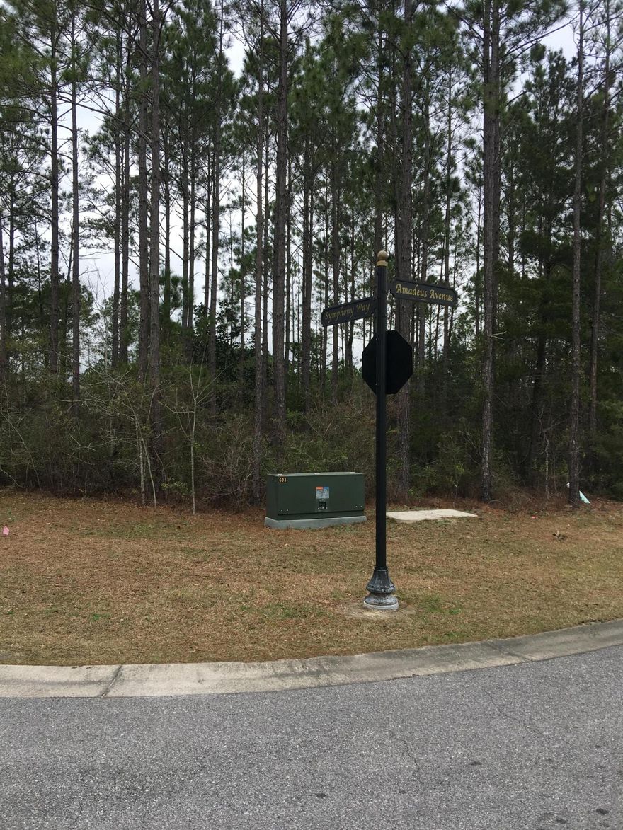 REDUCED!!!!!! Beautiful large corner vacant lot on the pond/lake in Symphony at Hammock Bay. Across the street from the walking nature trail, with countless amenities! There is a 60 acre regional sport recreation complex, multiple pools, basketball, tennis courts, pet park, fitness center, kids playground. Build your dream home on this lot!