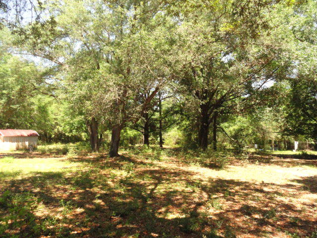 EAST CHESTNUT ADDN - Residential