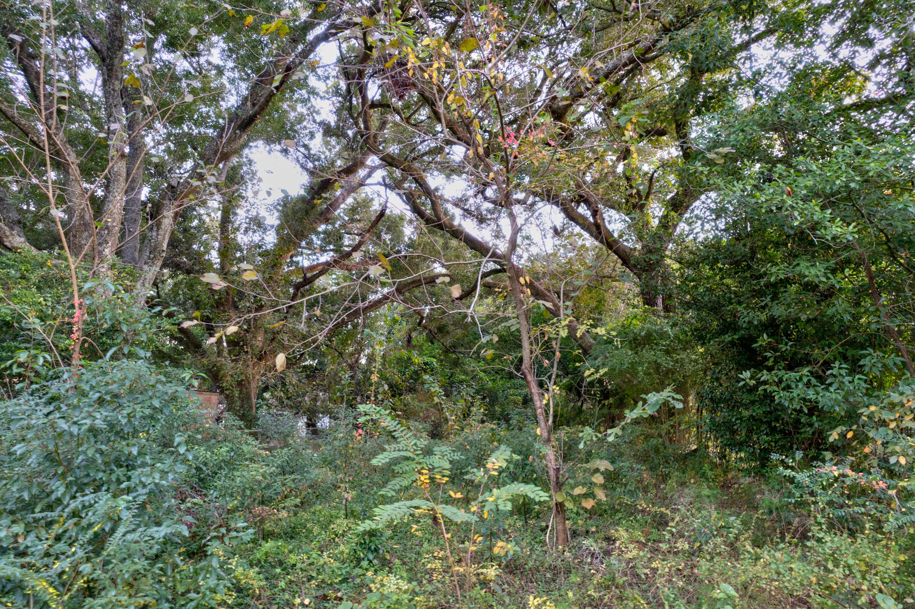 BRENTWOOD PARK - Land