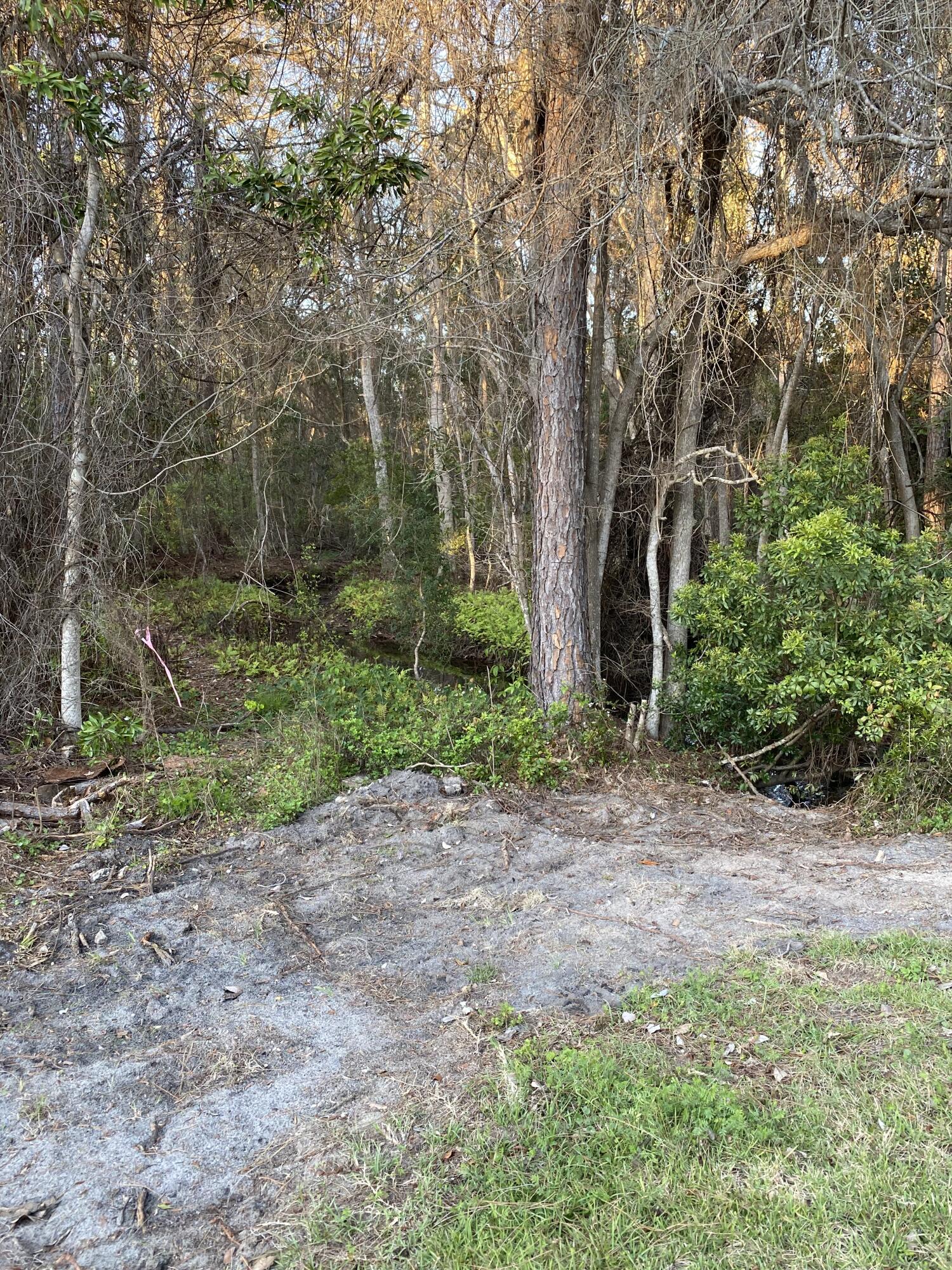 The Willows I S/D - Residential