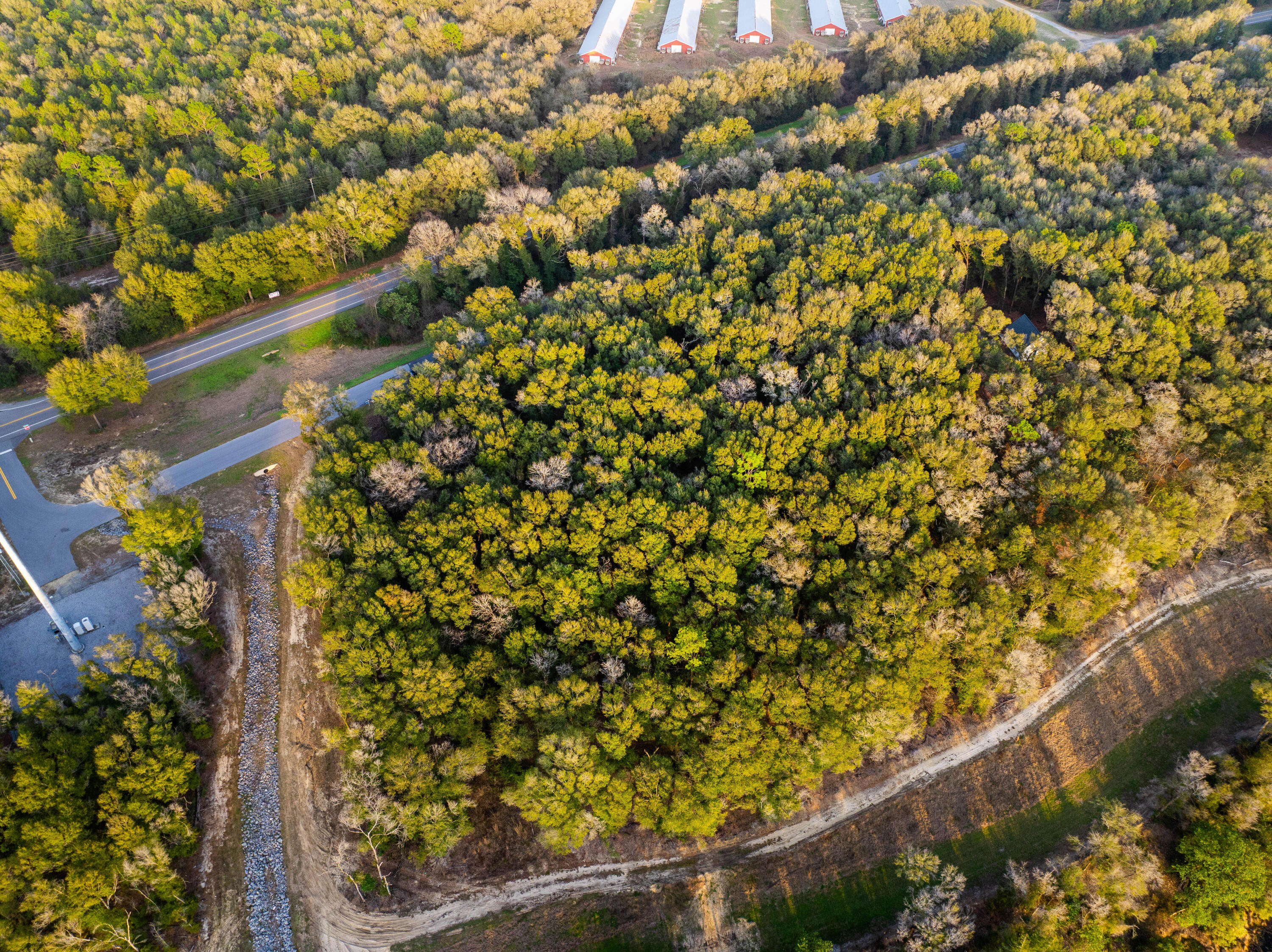 Lot 37 Seacoast Estates - Land