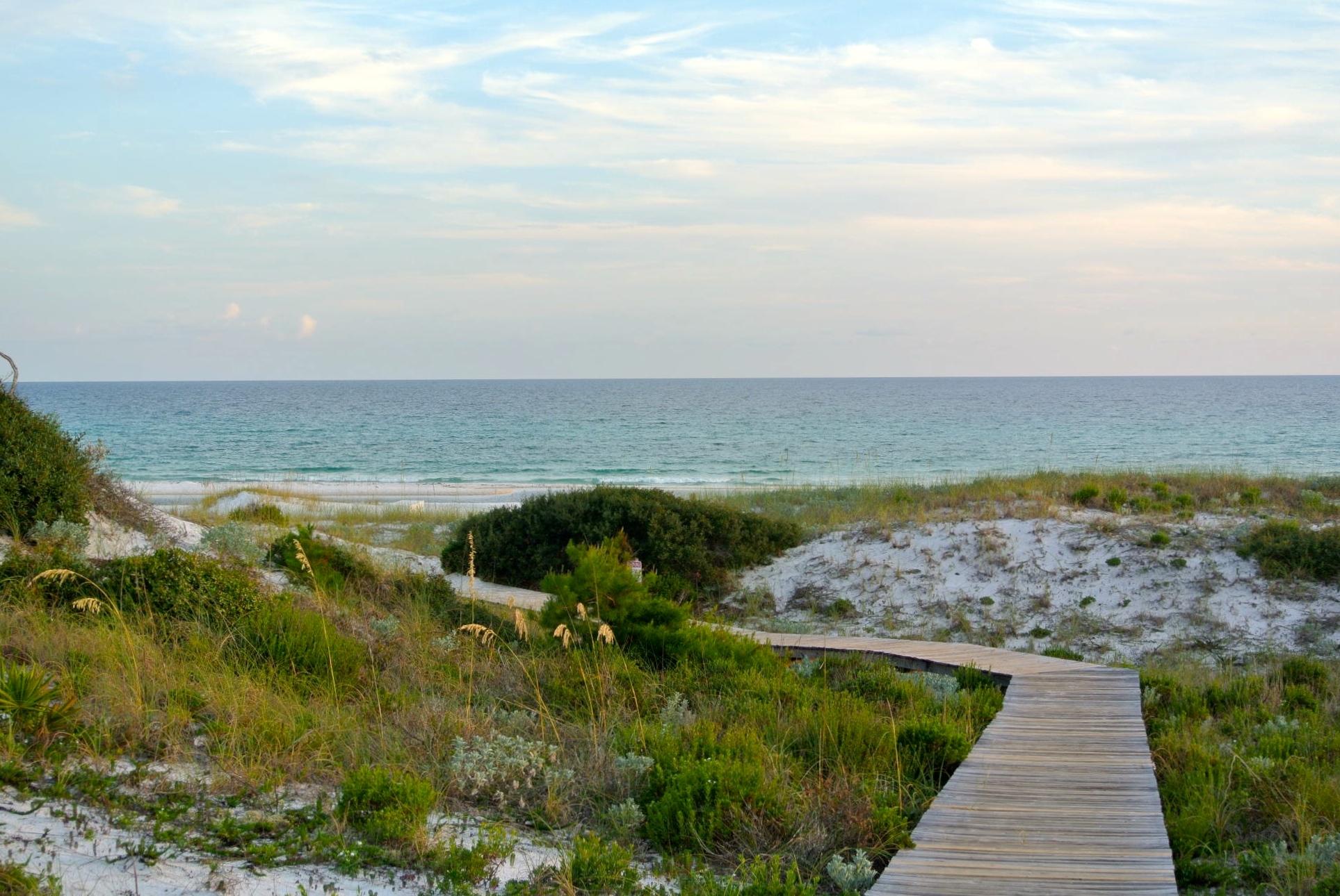 THE PRESERVE AT GRAYTON BEACH - Residential