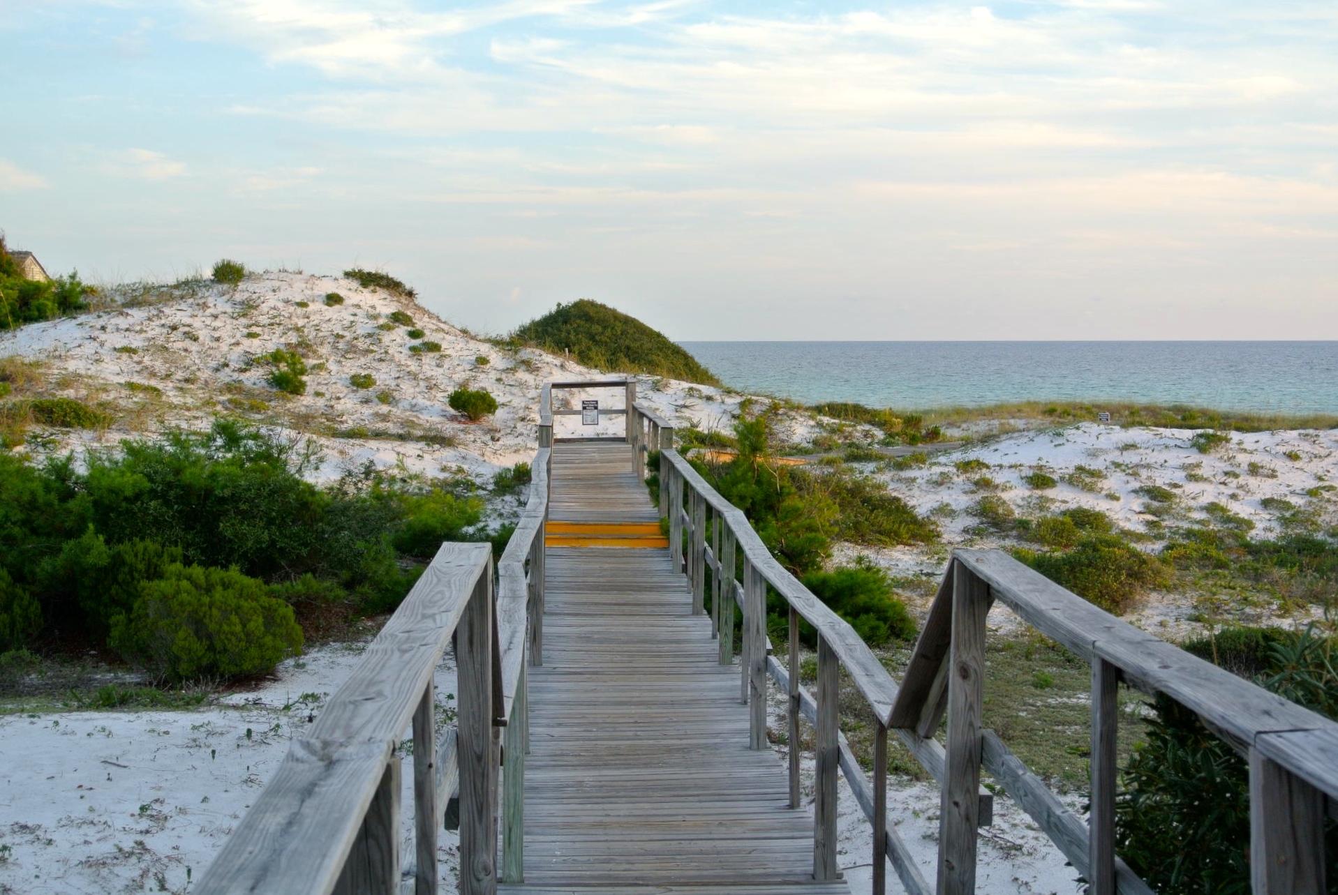 THE PRESERVE AT GRAYTON BEACH - Residential