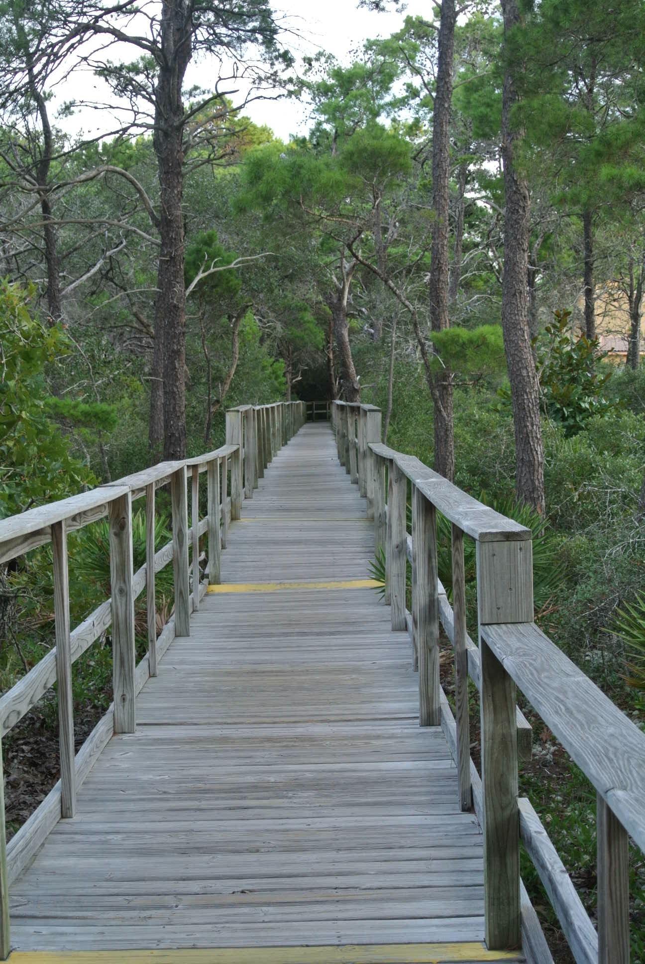THE PRESERVE AT GRAYTON BEACH - Residential