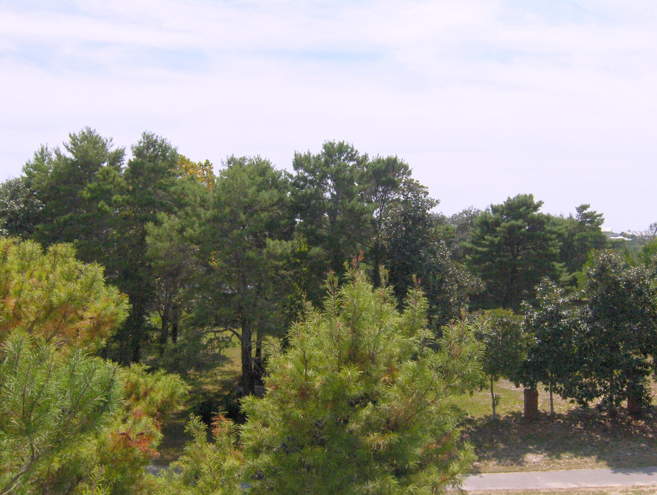 THE PRESERVE AT GRAYTON BEACH - Residential