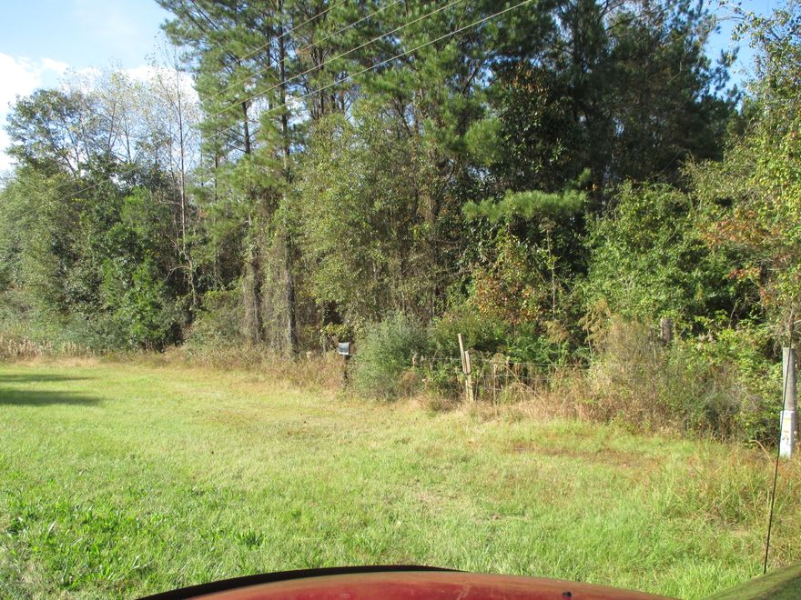 Owner financing available on this property. Really nice wooded property with a creek running through it. Plenty of privacy with large trees throughout make a perfect place for a homesite. Not far from Paxton and close to Crestview. Paxton city water on the property and tap fees have been paid. Want to get away to the peace and quiet, yet stay close enough to the city? Come see this property and it's potential. Along with being a nice place for a home it is also perfect if you are just looking for hunting land. Buyer to verify any important information.