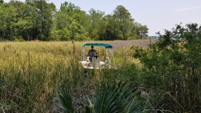 Cross Creek Shores - Land