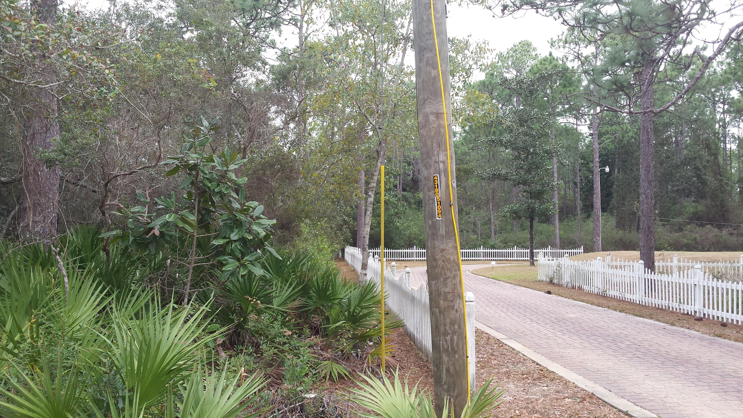 BAYOU PINES UNREC - Land