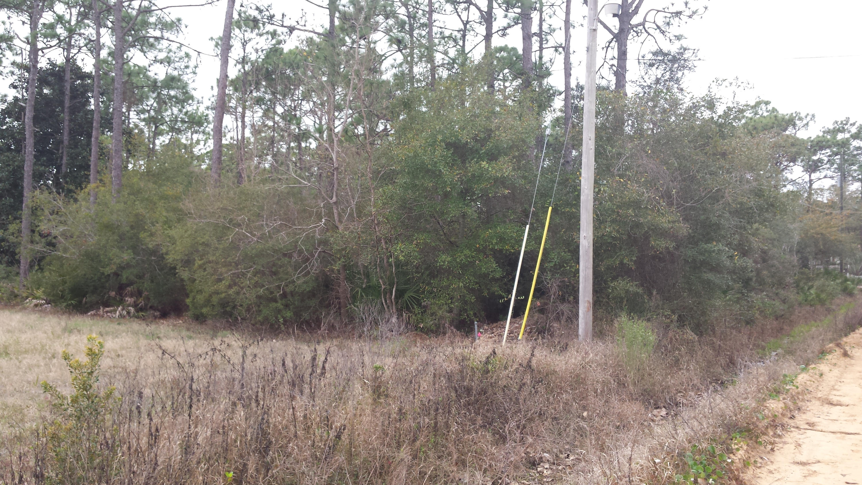 BAYOU PINES UNREC - Land