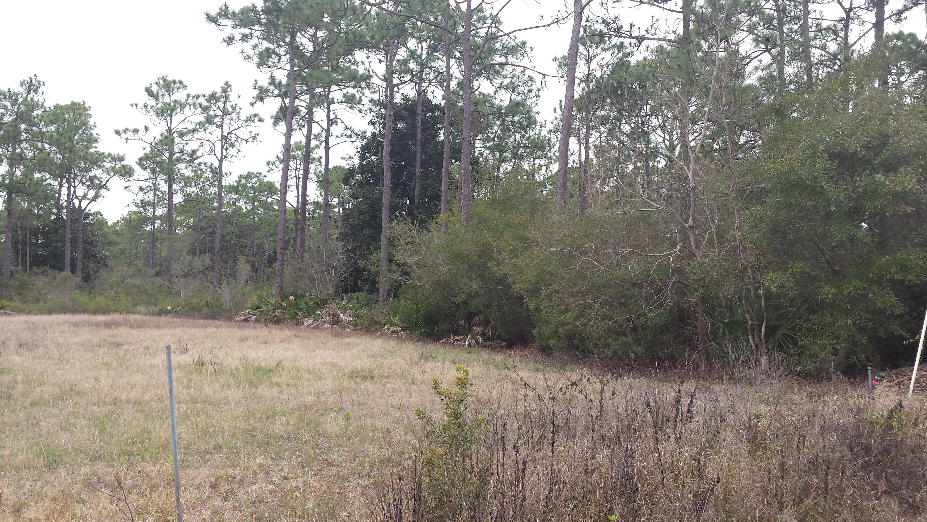 BAYOU PINES UNREC - Land