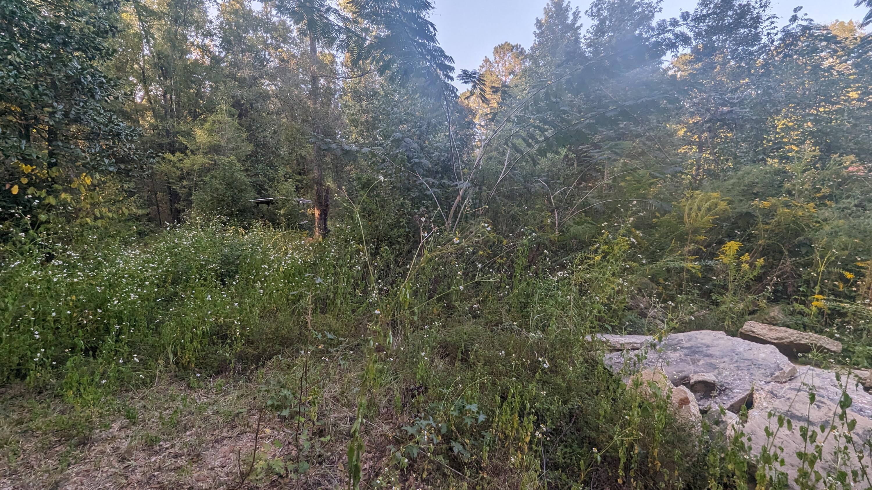 NO RECORDED SUBDIVISION - Residential
