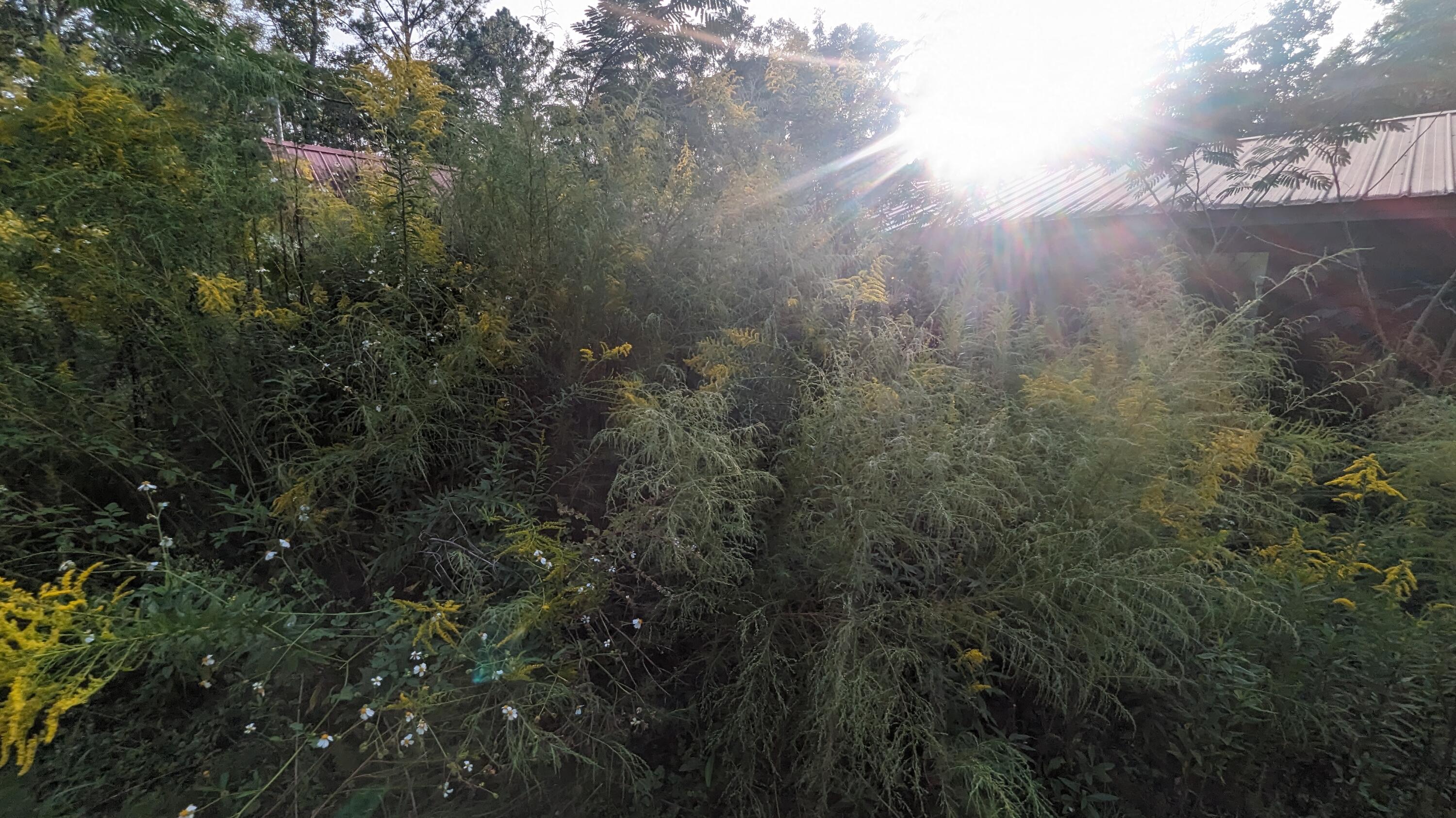NO RECORDED SUBDIVISION - Residential