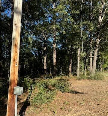 DEFUNIAK SPRINGS TOWN OF - Land