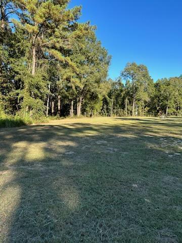 DEFUNIAK SPRINGS TOWN OF - Land