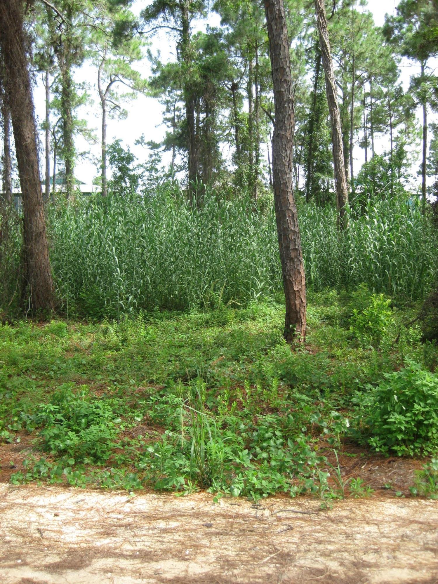 DUNE ALLEN 2ND ADDN - Land