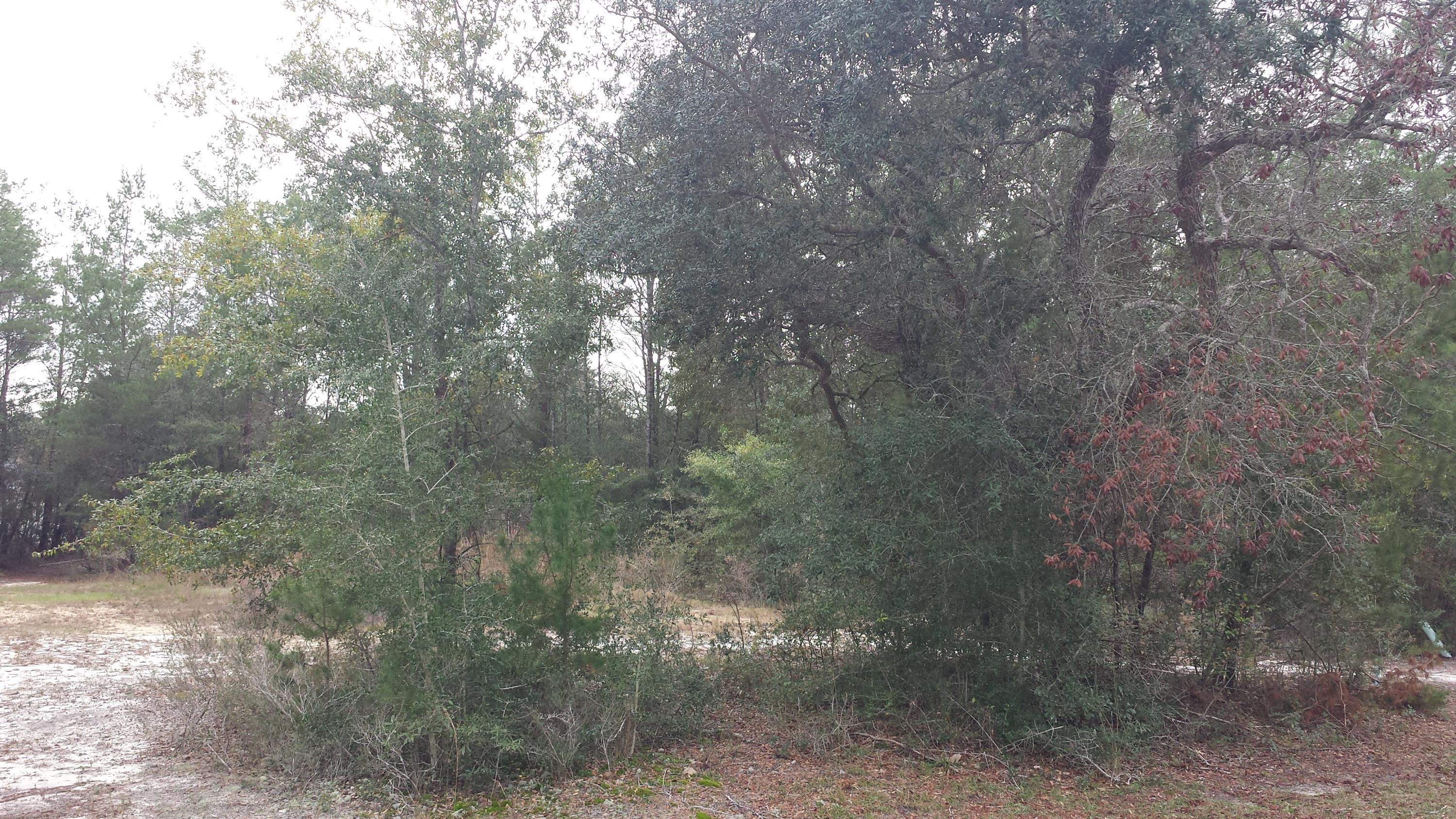 Magnolia Landing - Land