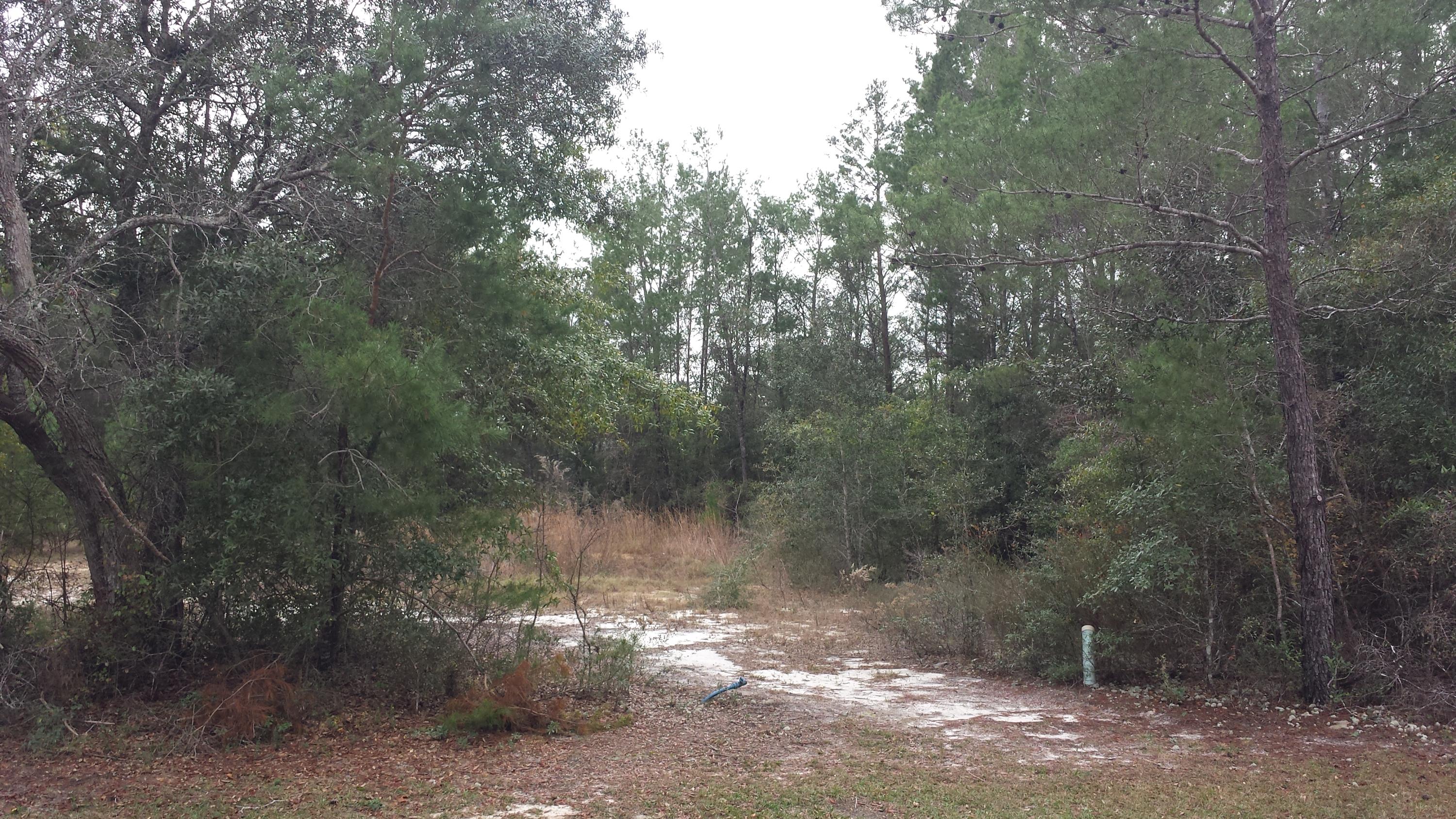 Magnolia Landing - Land