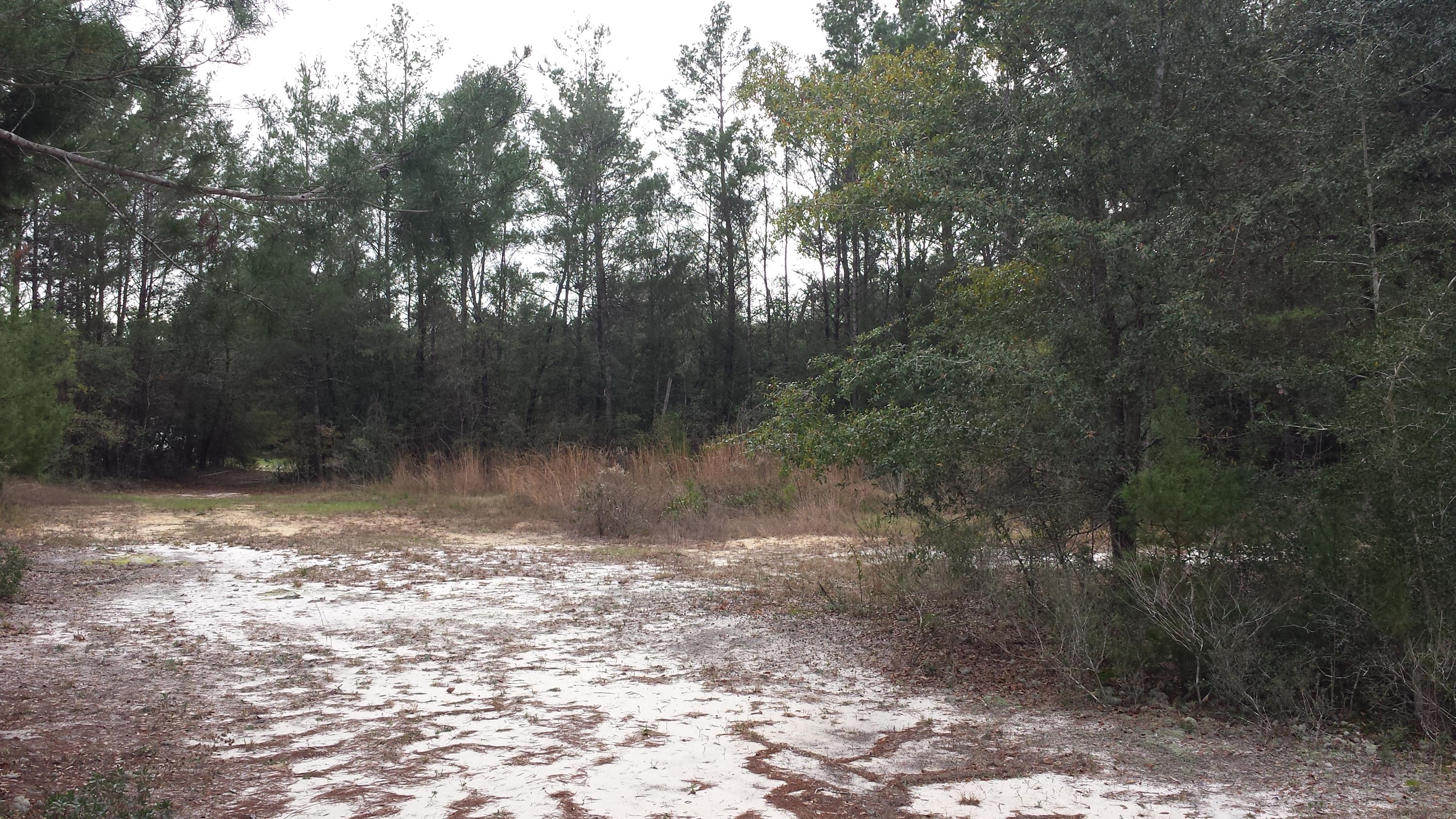 Magnolia Landing - Land